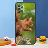 Squirrel Case For Samsung A54 A34 A14 A13 A23 A33 A53 A73 A51 A71 A72 A12 A22 A32 A42 A52 Back Cover