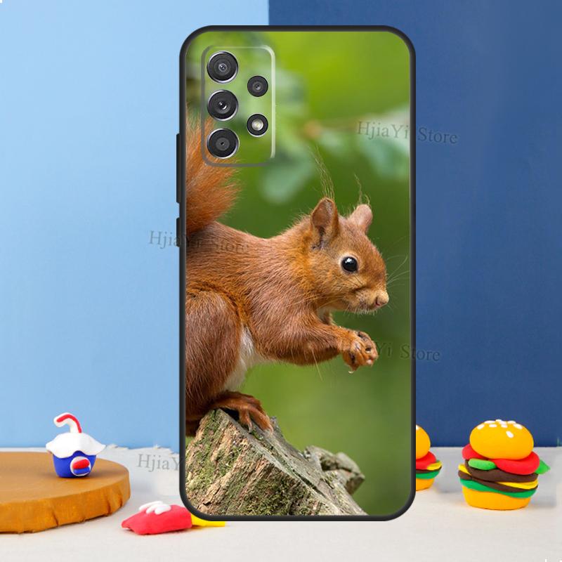 Squirrel Case For Samsung A54 A34 A14 A13 A23 A33 A53 A73 A51 A71 A72 A12 A22 A32 A42 A52 Back Cover