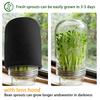 Sprouting Jar Kit Glass Health Vegetables Grow Broccoli Sprouts Growing Kit For Gardeners Beginners Homesteaders Kitchen