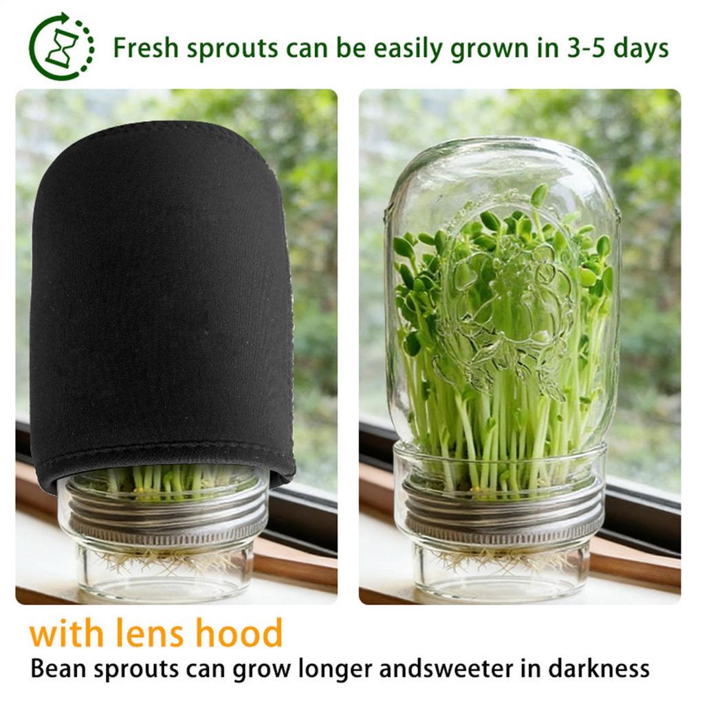 Sprouting Jar Kit Glass Health Vegetables Grow Broccoli Sprouts Growing Kit For Gardeners Beginners Homesteaders Kitchen