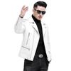 Spring and Autumn New Leather Jacket Locomotive Leather Jacket Men's Slim Fit Handsome Youth Men's Jacket Trend