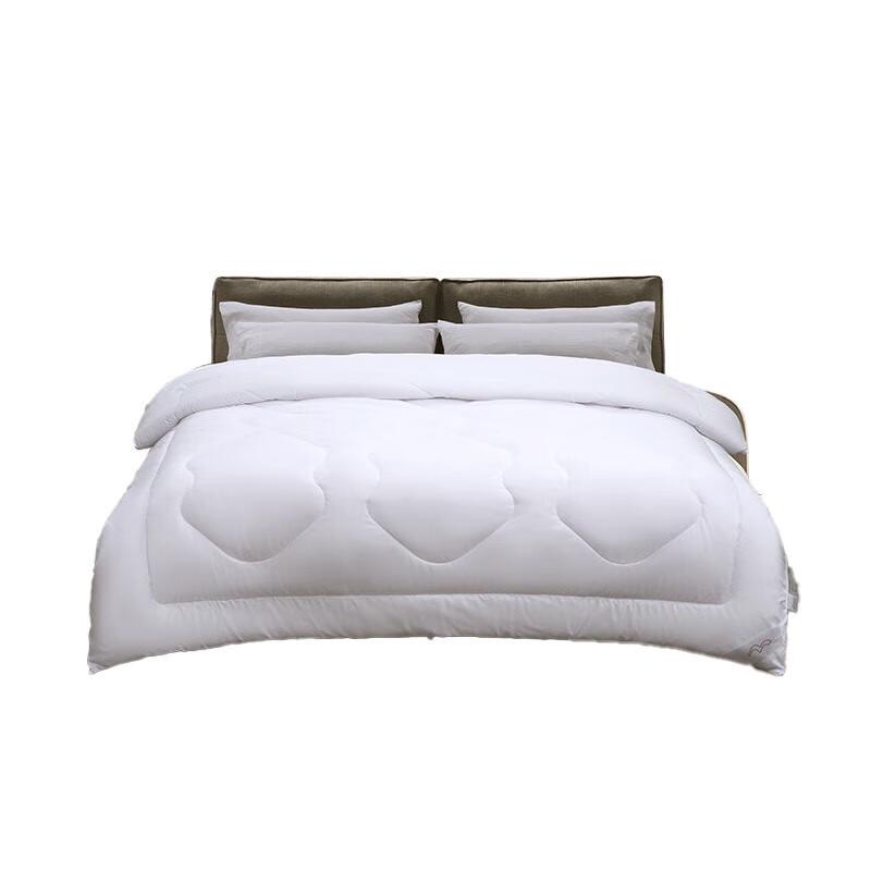 

Mercury Home Textiles Du Sang Antibacterial All-Season Quilt