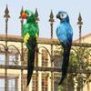 Multicolor Artificial Bird Model Foam Garden Decorative Bird Simulation Parrot  Garden Ornament