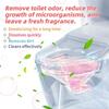 Detergent Toilet Cleaner Bathroom Supplies Household Cleaning Chemicals Fragrances for Home Merchandises Dish Soap Garden