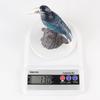 Children's Cognitive Simulation Bird Perch: Garden Craft Ornament for Magpies, Parrots, Lovebirds