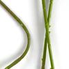 Single Stem Artificial Peony Odorless 2 Head Artificial Peony Artificial Peony Bouquet Burnt Edge For Restaurant Styling Wedding