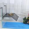 Turtle Basking Platform Elevated Aquarium Accessory for Reptile Keepers