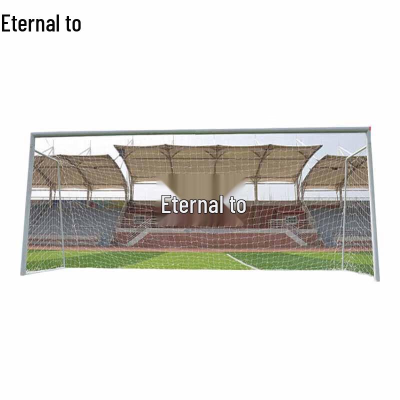 Yongzhi 11-a-side Football Goal with Net