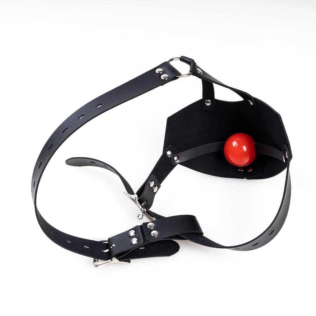 K9 Mask Harness Silicone Ball Gag: Adult Personality Mouth Cover