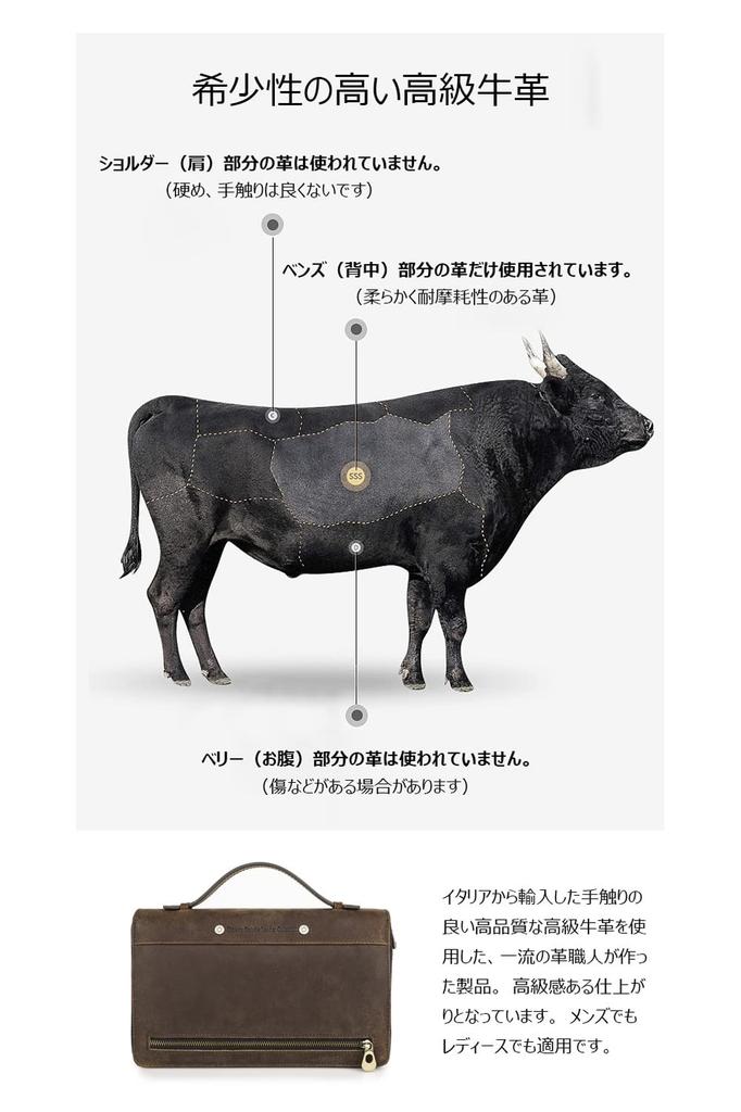 Whatna Natural Cowhide Leather Mini Second Bag for Men, Handbag, Wallet, Clutch Bag with RFID Protection, Coin Purse, Bill Compartment, Card Slots,