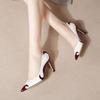 Spring and Autumn New Color Matching Chinese Style Single Shoes Women's Pointed Head Light Mouth Stiletto High Heel Fashion Banquet Shoes