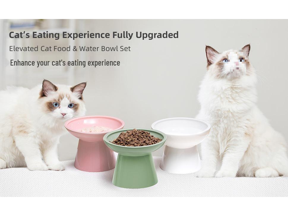 High-Leg Ceramic Cat Bowl with Neck Protection