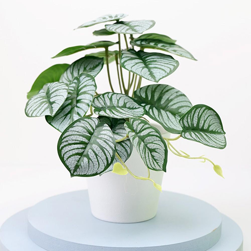 For Shops Bonsai For Weddings Parties Plastic Beautiful