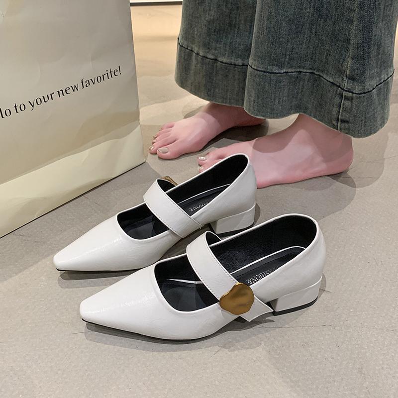 French Style Thick Heel Shallow Mouth Single Shoe for Women, Spring  New Style Pointed Fashion Mary Jane Small Leather Shoes
