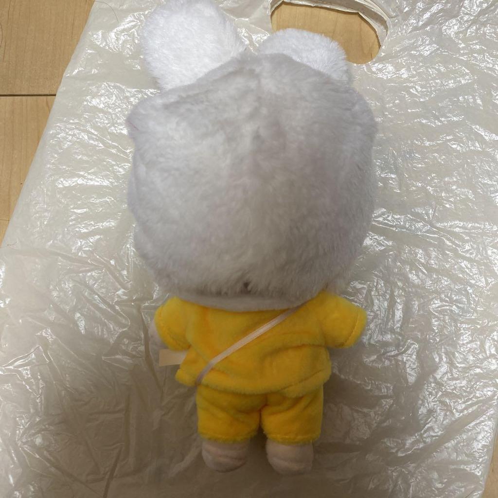 [USED] Yoon Ji-sung stuffed toy 2