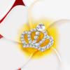 30pcs Alloy and Rhinestone Crystal Crown Rhinestone Embellishments DIY Embellishments  Girls