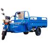 Lixian 1500W Electric Cargo Tricycle CN Plug (adapter Included)