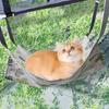 Cat Hammock Breathable Soft Pet Supplies Winter Indoor Cat Swing Hammock For Kitten Ferret Bunny Hamster Mice Home Outdoor