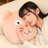 Cartoon Cat Face Cushion Pillow for Sofa, Car, or Seat