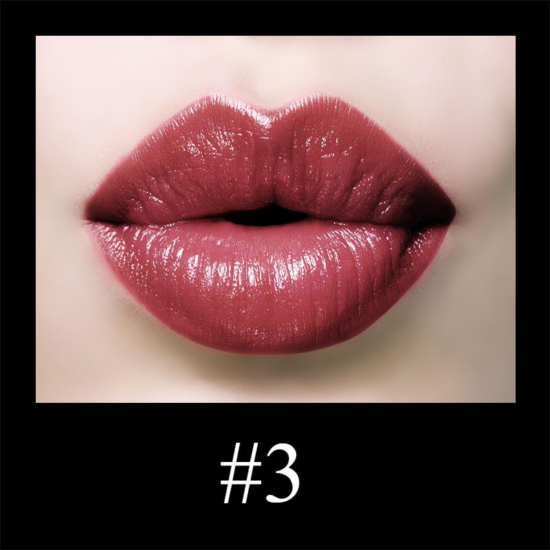 Waterproof Moisturizing Matte Lipstick Set Magnetic Lipstick Lipstick