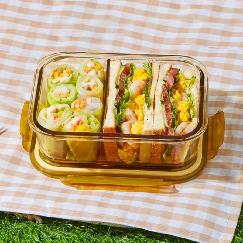 Snapware Amber Glass Divided Food Storage Container