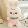 Cute Fruit Rabbit Plush Toy Strawberry Watermelon Pineapple Kid Holiday Gift