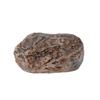 Finta Roccia Scatola Portachiavi Sicuro Nascosto da Esterno Contenitore Impermeabile Nascondiglio di Pietra per Chiavi Denaro Giardino Cortile Roccia Decorativa Nascondiglio