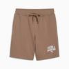 Puma CLASS 8" TR Men's Shorts Brown 68465393 R S