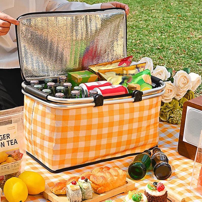 ADVANCE Foldable Insulated Picnic Cooler Basket