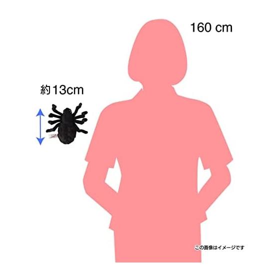 BH8489 HANSA Black Tarantula 19