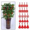 Beautifully Crafted 8pcs Chinese New Year Cny Outdoor Red Decor Festival Bonsai Money Tree Pendant