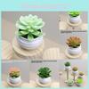 Plant Plastic Succulent Lotus Artificial Potted For Indoor Decoration And Gifts