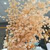 Physalis Peruviana Artificial L For Wedding Photography Props And Home Decor