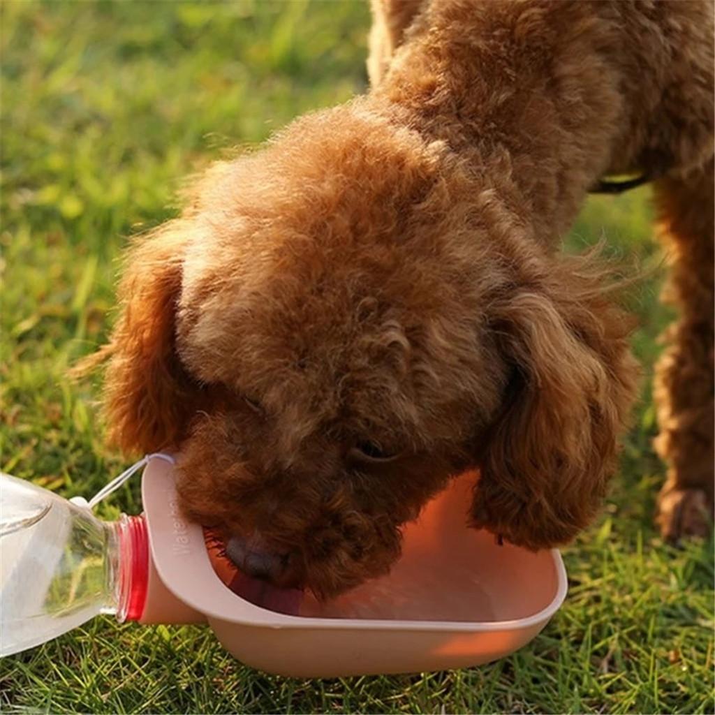 Travel Water Bottle Feeder Pet Outdoor Drinking Cup Water Bottle