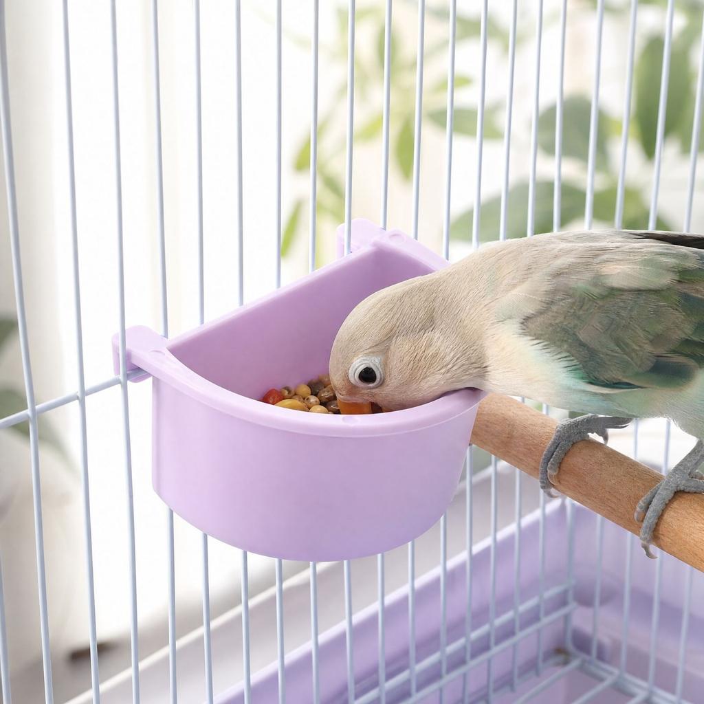 Feeder Small Bird Food Bowl, In- Hanging Dish For, Hanging Bird Trough Feeder