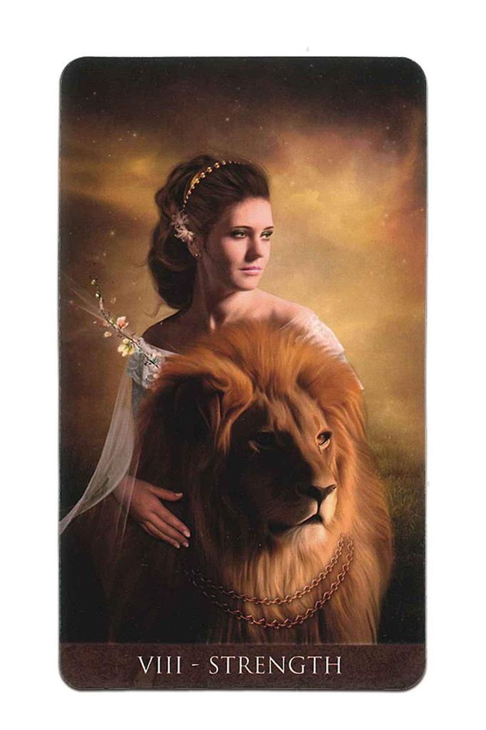 Tarot Card Set with Japanese Commentary Waite Rider Edition 78-card [Official Import] [Arcanum Tarot] "Pocket Manual"