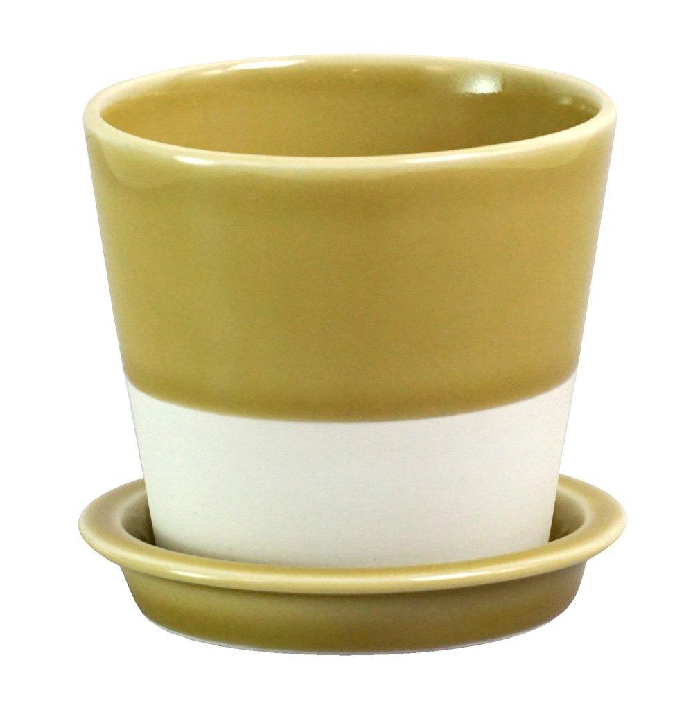 

Saikaitoki Hasami ware table pot yellow porcelain glaze color 13685 essence (flower pot)