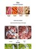 Electric Multifunction Meat Grinder and Food Processor Blender for Chili and Dumpling Stuffing Mincer