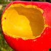 Weather-resistant Bird Feeder Fruit Shape Hanging Feeder, Outside Resin Bowl, Weather-proof Feeding Station for Outdoor Garden Patio Yard
