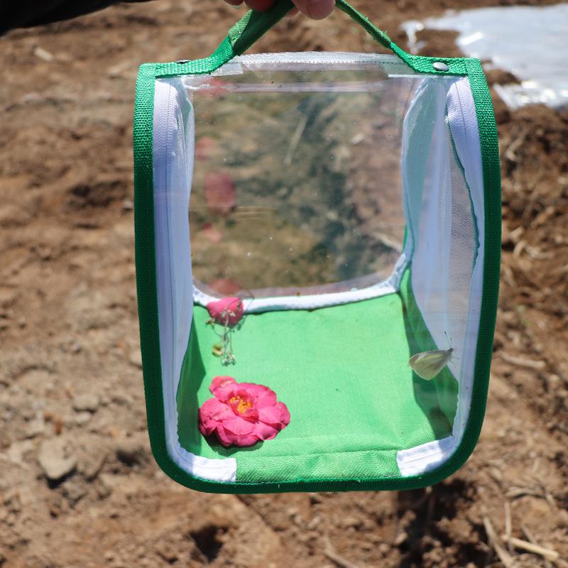 Cage à insectes et papillons pliable et Portable, pour entraîner les enfants à observer le processus de Transformation des animaux de compagnie acheter à prix bas - livraison gratuite, avis réels avec