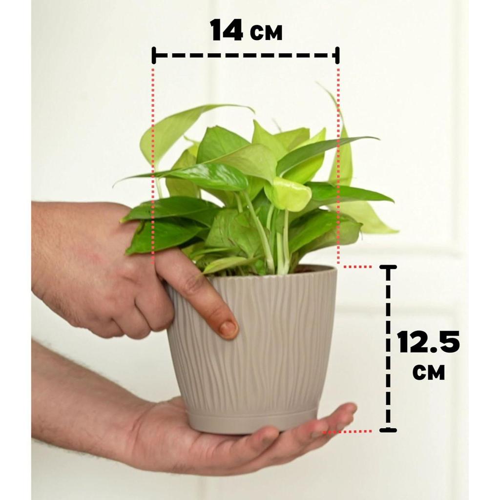 Set mit 3 selbstbewässernden Töpfen für Zuhause, Deko & Garten | Blumentöpfe, Pflanzgefäße für Zimmerpflanzen | Plastiktöpfe für Wohnzimmer