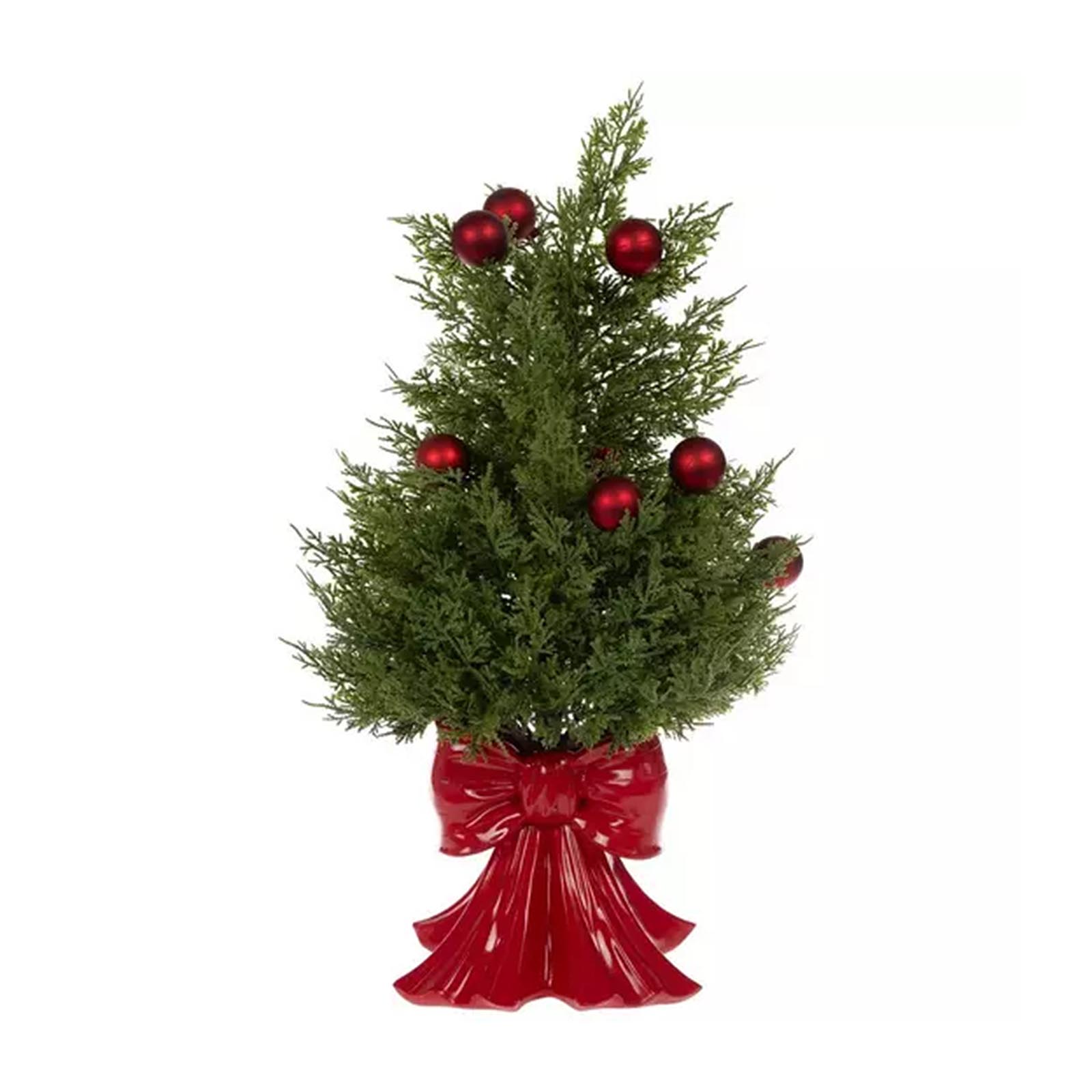 

Кедр бонсай с подставкой-бантом One Size красный