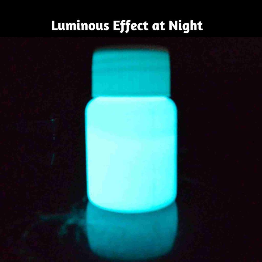 20g Glow In the Dark Fluorescent Colorful Acrylic Luminous Paint Bright Pigment DIY Crafts Painting Tool