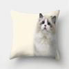 Cute Cat Print Decorative Cushion Pillowcase  Cover Pillow Sofa Living Room