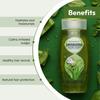 Aloe Vera Kesh Kanti Cleanser, Aloe Vera Hair Cleanser, 200ml, Patanjali
