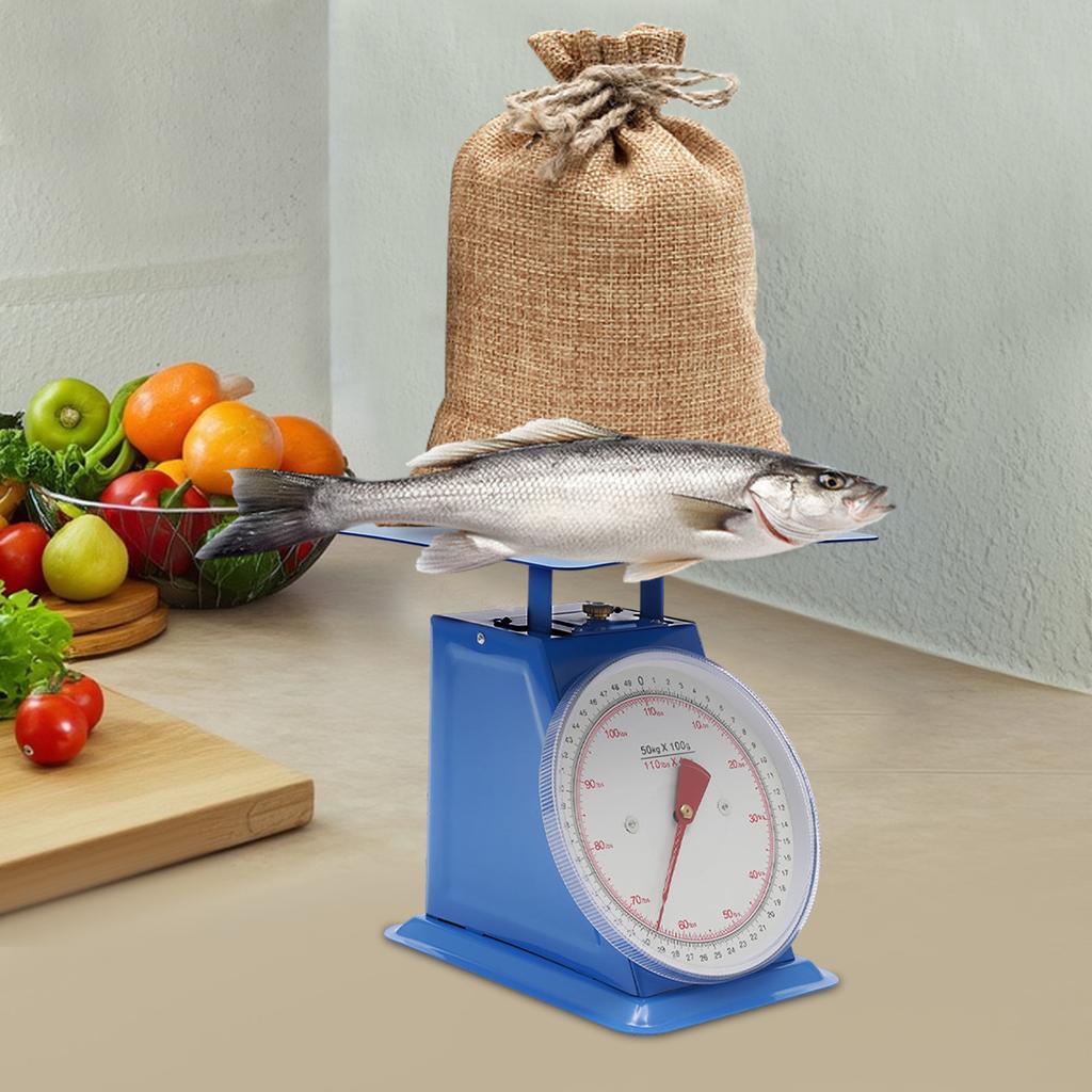 Mechanische Küchenwaage (0,1 kg/0,22 lb) – Präzise Portionswaage mit Plattform, industrielle Messskala zum Kochen