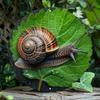 Snail Design Metal Tin Sign Wall Art Weatherproof Home Decor Easy Installation