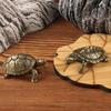 Brass Turtles Shelf Decors Accent,Animal Figurines Tabletop Centerpieces Home Decorations Turtles Decorative Objects
