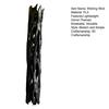 Jijijing One Wish Willow Stick, Wishing Wish-Making Snap Breakable Magic Charm, Creepy Decor for Haunted House & Film Memorabilia Display