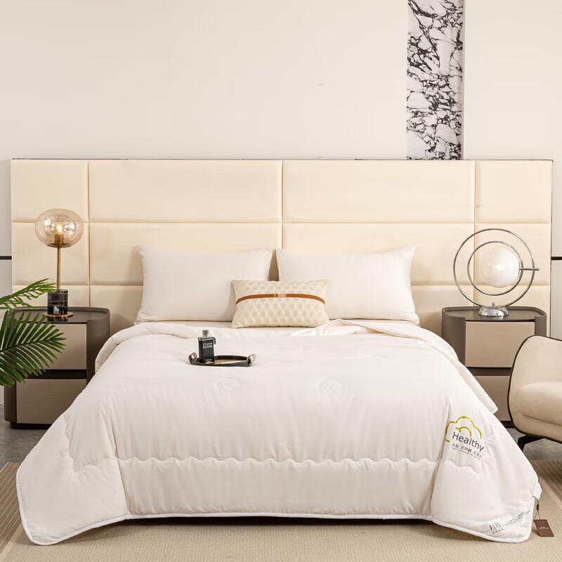 

Life Elements Soy Protein Warm Core Quilt